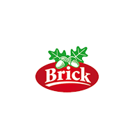 Brick